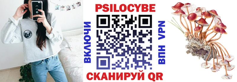 Галлюциногенные грибы Psilocybe сколько стоит Алапаевск