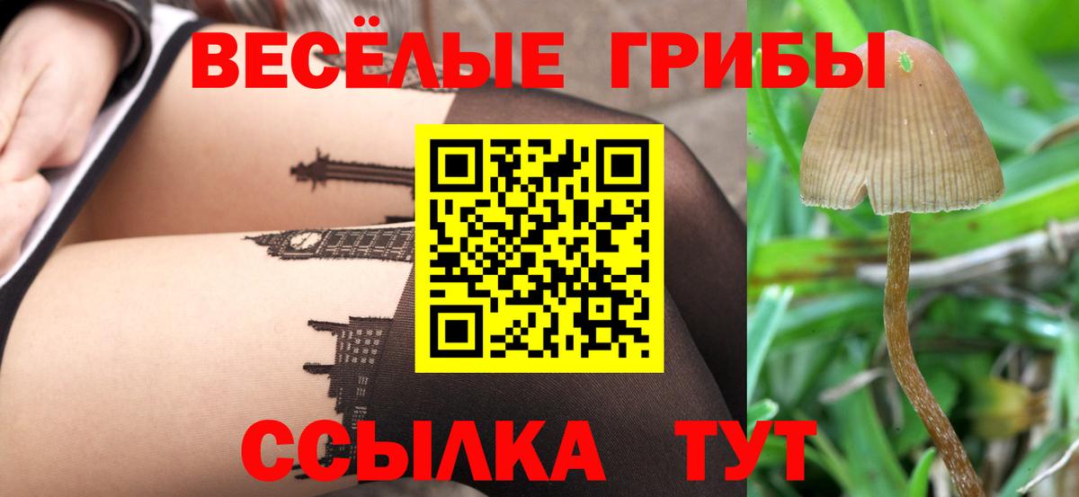 Галлюциногенные грибы прущие грибы  Вход с VPN  Алапаевск  Псилоцибиновые грибы Cubensis 